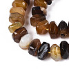 Natural Agate Beads Strands G-N356-01A-04-4