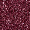 MIYUKI Delica Beads SEED-X0054-DB0654-3