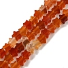 Natural Carnelian Beads Strands G-G085-B35-01-1