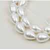 Shell Pearl Beads Strands BSHE-K010-05A-2