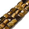 Natural Tiger Eye Beads Strands G-C109-A07-01-1