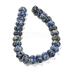 Natural Blue Spot Jasper Beads Strands G-G142-A13-01-3