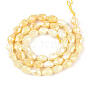 Anti-Tarnish Electroplate Glass Beads Strands X-GLAA-T025-13A-09-2