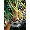 5D DIY Diamond Painting Animals Canvas Kits DIY-C004-04-1