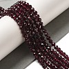 Natural Garnet Beads Strands G-F460-28-01-5