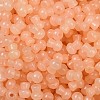 Transparent Colours Glass Seed Beads SEED-R001-01G-2