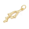 Brass Pendants KK-Q028-66G-2