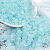 Transparent Colours Glass Seed Beads SEED-P008-01B-01-1