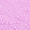 Baking Paint Glass Seed Beads SEED-L011-09A-10-3