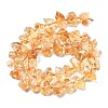 Natural Citrine Beads Strands G-C179-C02-01-3