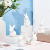 Globleland 5Pcs 5 Style Porcelain Display Decoration AJEW-GL0002-01-5