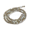 Transparent Glass Beads Strands X1-EGLA-A034-T4mm-MB16-3