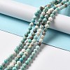 Natural Howlite Beads Strands X-G-L555-02B-02-4