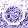 Glass Seed Beads SEED-T007-01I-1