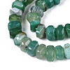 Natural Agate Beads Strands G-N356-01A-16-4