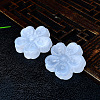 Natural Gesso Blossom Display Decorations PW-WG5C9D5-01-4