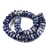 Natural Blue Spot Jasper Beads Strands G-T138-72-2