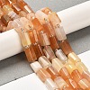 Natural Orange Botswana Agate Beads Strands G-N327-06-31-2