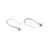 Anti-Tarnish Rhodium Plated 925 Sterling Silver Earring Hooks STER-N016-27P-2