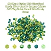 4500Pcs 6 Style 12/0 Glass Seed Beads SEED-YW0001-27D-3
