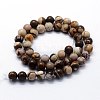 Natural Zebra Jasper Beads Strands G-I199-10-4mm-2