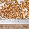 MIYUKI Delica Beads SEED-MY11-DB1778-4