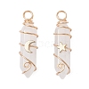 2Pcs 2 Styles Natural Quartz Crystal Double Terminated Pointed Pendants PALLOY-JF03122-05-1