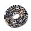 Natural Sodalite Beads Strands G-G189-C02-02-3