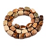 Natural Picture Jasper Beads Strands G-T138-93-2