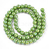 Electroplate Opaque Glass Beads Strands GLAA-T032-P6mm-AB06-3