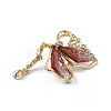 Resin Butterfly Brooch Pin with Crystal Rhinestone LS-JEWB-P016-05KCG-02-3