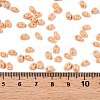 Baking Paint Glass Seed Beads SEED-T006-03E-4