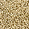 MIYUKI Round Rocailles Beads SEED-G007-RR0578-3