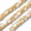 Natural Trochid Shell/Trochus Shell Beads Strands SSHEL-N034-77-B01-1