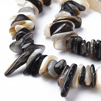 Natural Black Lip Shell Bead Strands SSHEL-N304-102-1