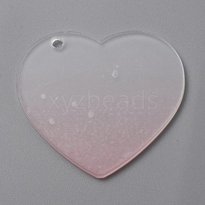 Gradient Transparent Acrylic Disc Big Pendants FIND-WH0032-54B-1