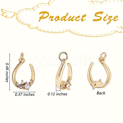 Rack Plating Brass Micro Pave Clear Cubic Zirconia Pendants ZIRC-SZ0004-04-1