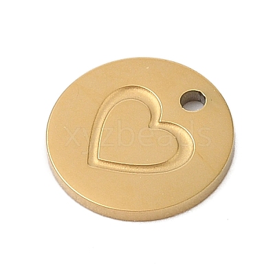 304 Stainless Steel Charms STAS-P377-04G-A-1