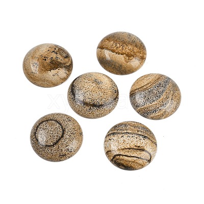 Natural Picture Jasper Cabochons G-H1596-FR-25mm-17-1