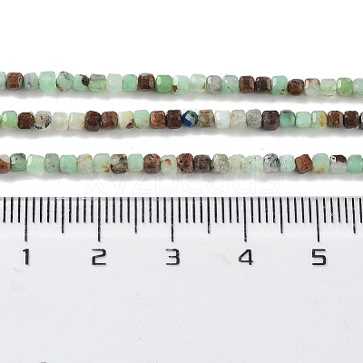 Natural Chrysoprase Beads Strands X-G-P514-B03-01-1