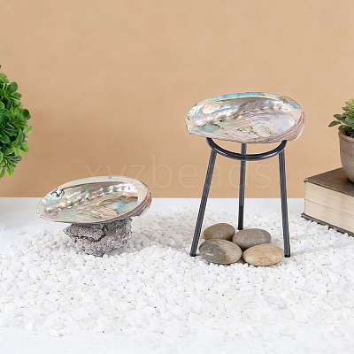 Natural Shell Display Decorations DJEW-WH0042-143C-1