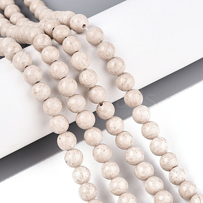 Dyed Natural Fossil Beads Strands G-T139-6mm-66A-1