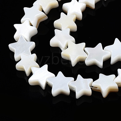 Natural Freshwater Shell Beads Strands SHEL-Q024-018-1
