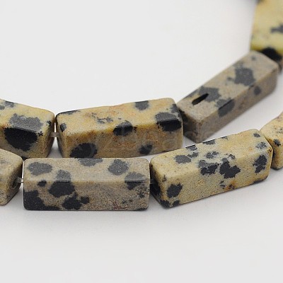 Natural Dalmatian Jasper Cuboid Beads Strands G-N0153-16-1