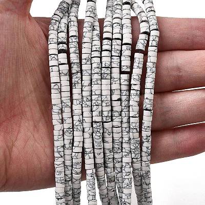 Dyed Synthetic Turquoise Beads Strands G-Z089-A04-B-1