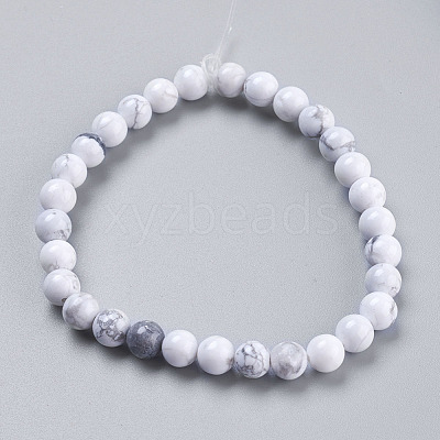 Natural Howlite Beads Strands TURQ-G091-6mm-1
