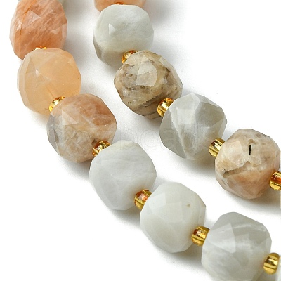 Natural Multi-Moonstone Beads Strands G-Q010-A04-01-1