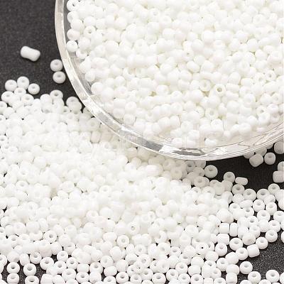6/0 Glass Seed Beads X-SEED-J014-F6-41-1