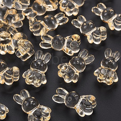Transparent Acrylic Beads LS-MACR-S373-81-B04-1
