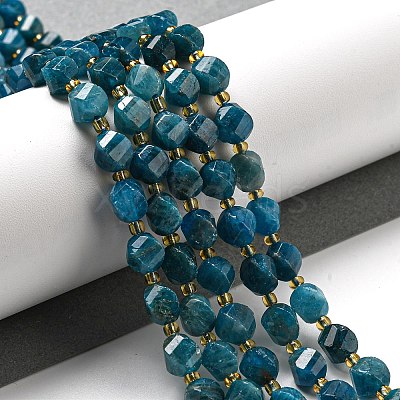 Natural Apatite Beads Strands G-M443-B06-02-1